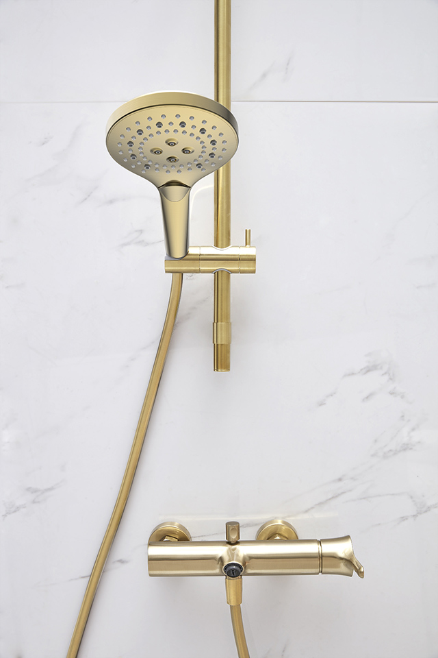 シャワーセット NF006BG-01-CMB